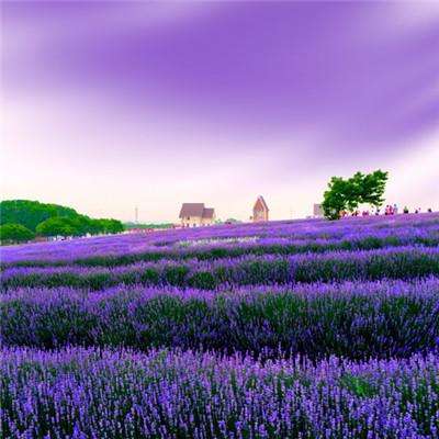 5848vip威尼斯电子游戏下载手机版